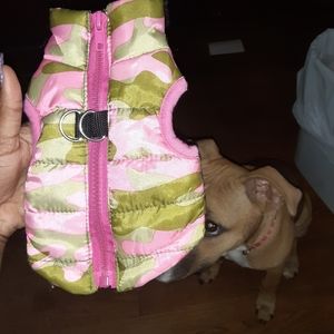 Dog jacket vest